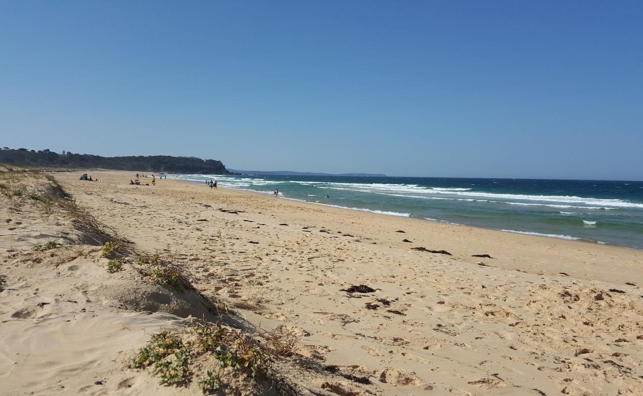 Photo of South Head Beach with bright sand surface