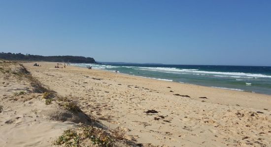 South Head Beach