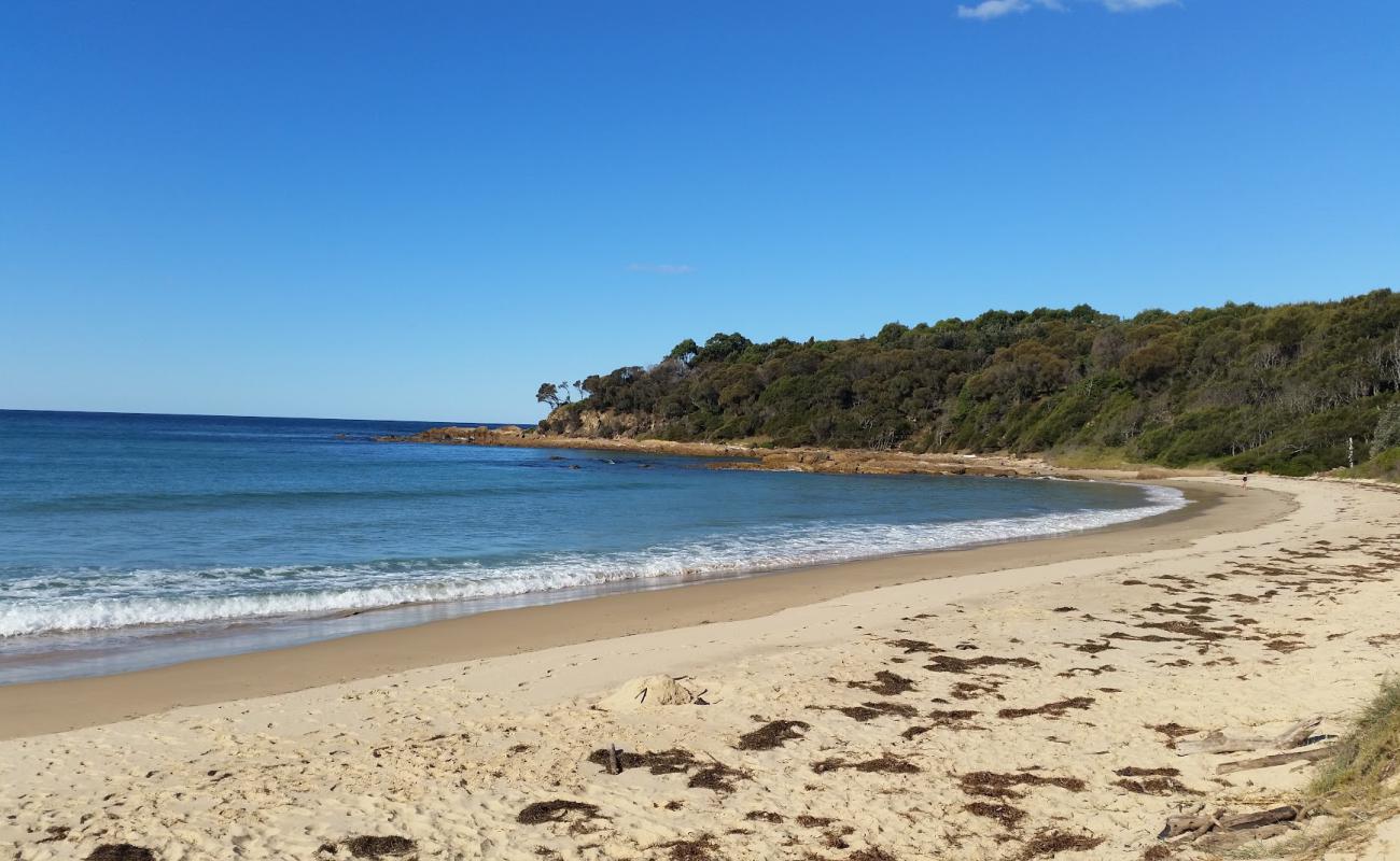 Photo of Shelly Beach with bright sand surface