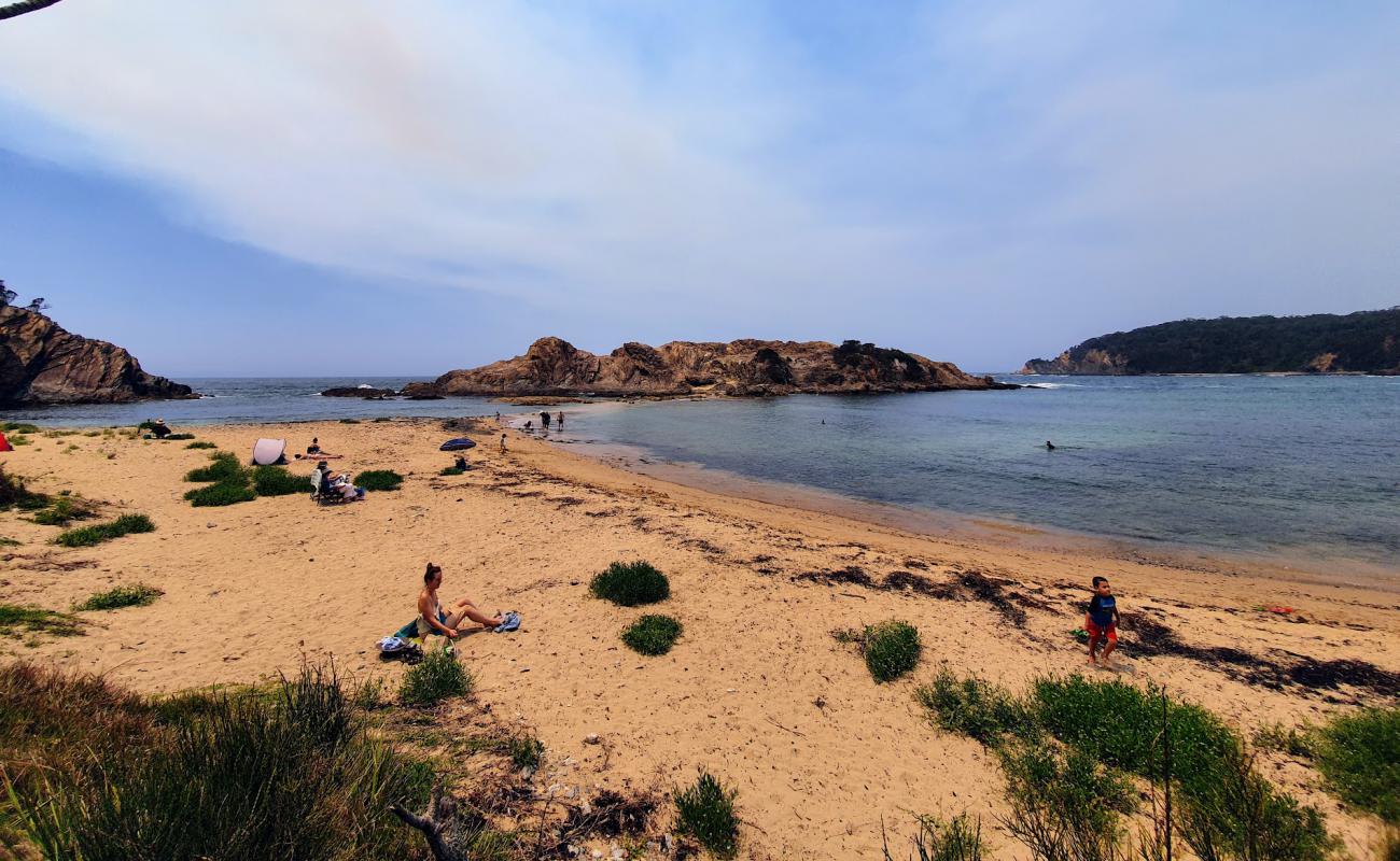 Photo of Guerilla Small Beach with bright sand surface