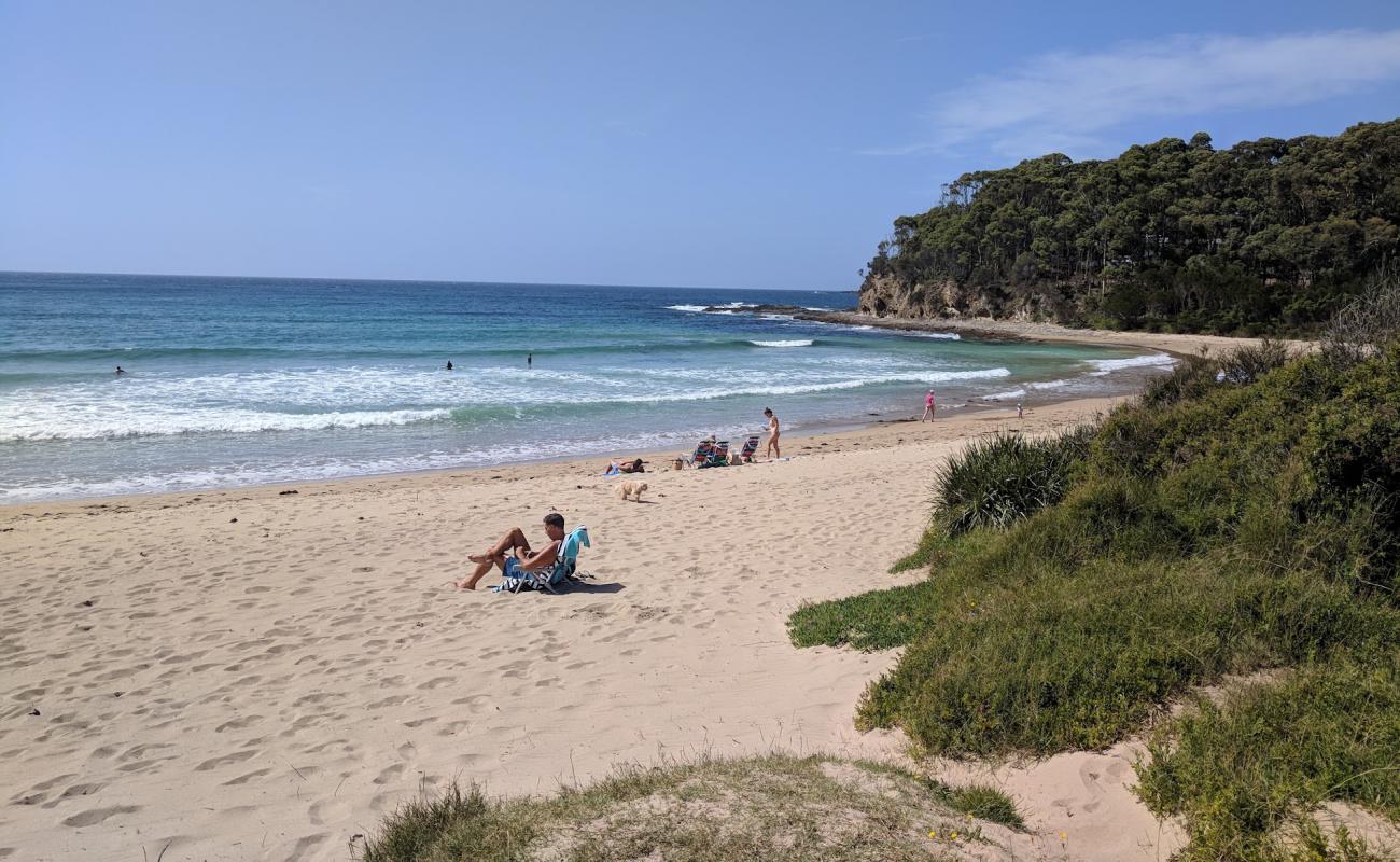 Photo of Mckenzies Beach with bright sand surface