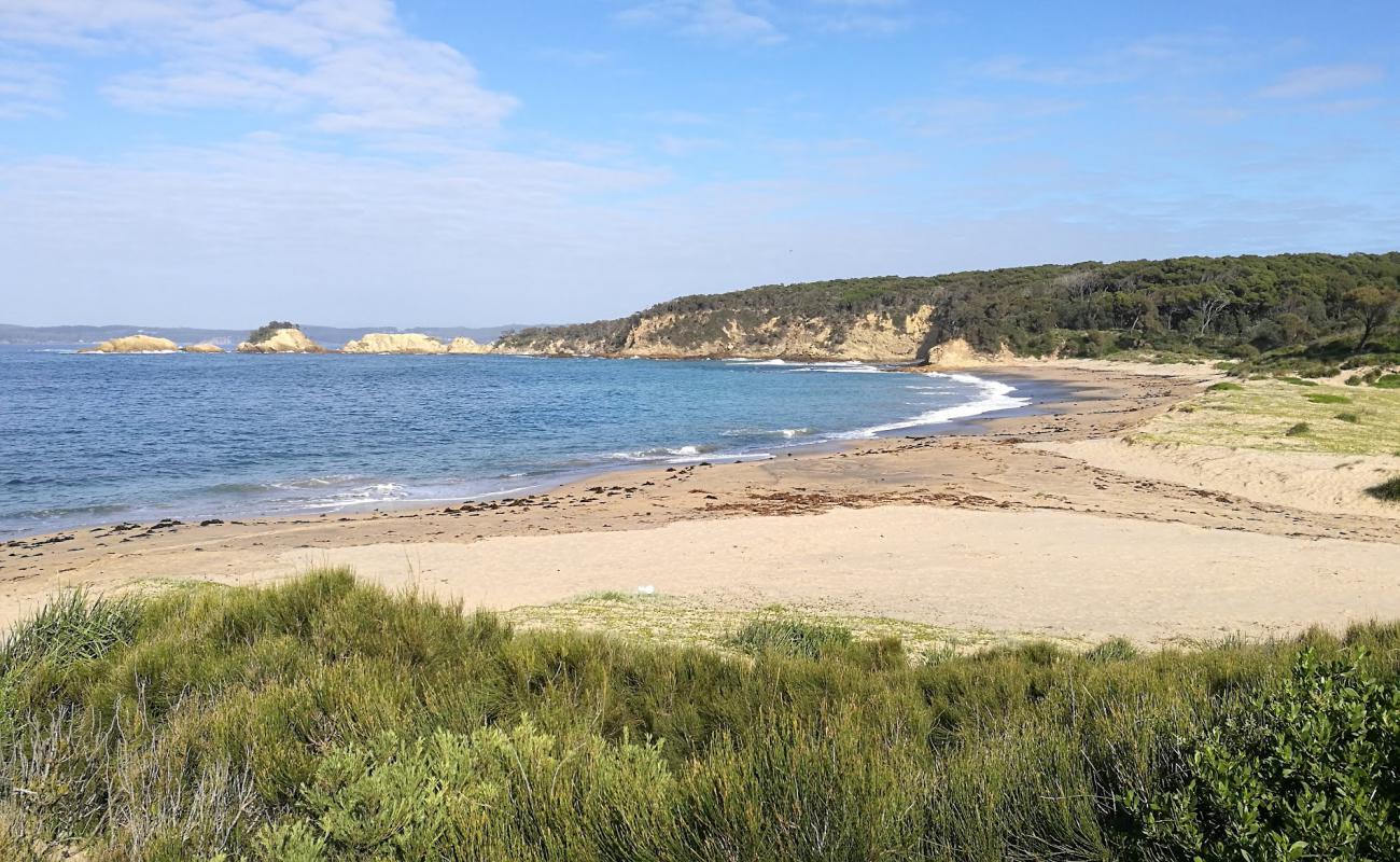 Photo of North Head Beach with bright sand surface