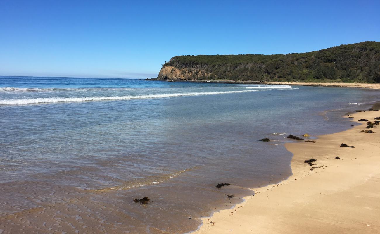 Photo of Oaky Beach with bright sand surface