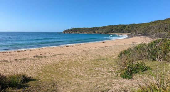 Emily Miller Beach