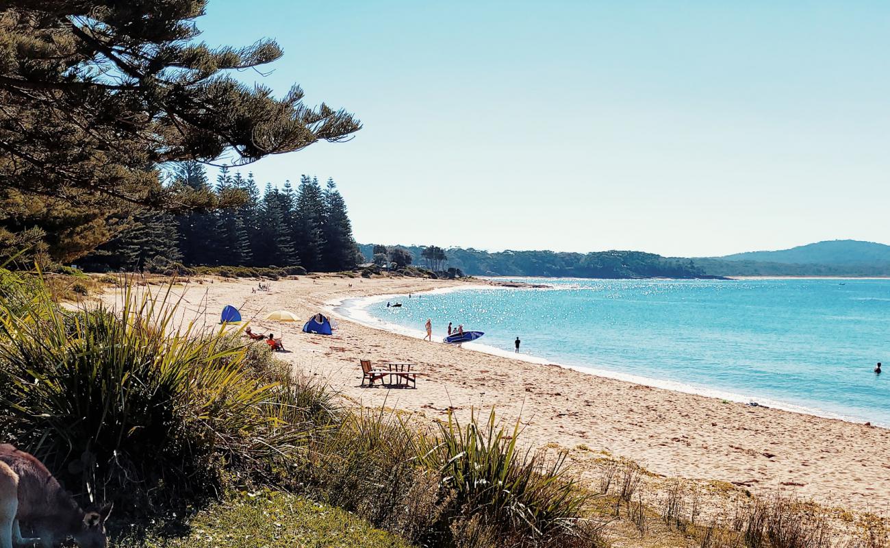 Photo of Mill Beach with bright sand surface