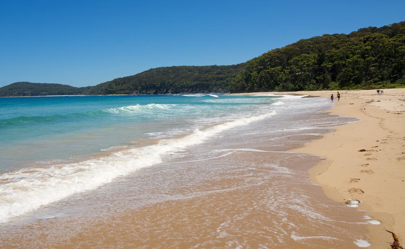 Photo of Pebbly Beach with bright sand surface