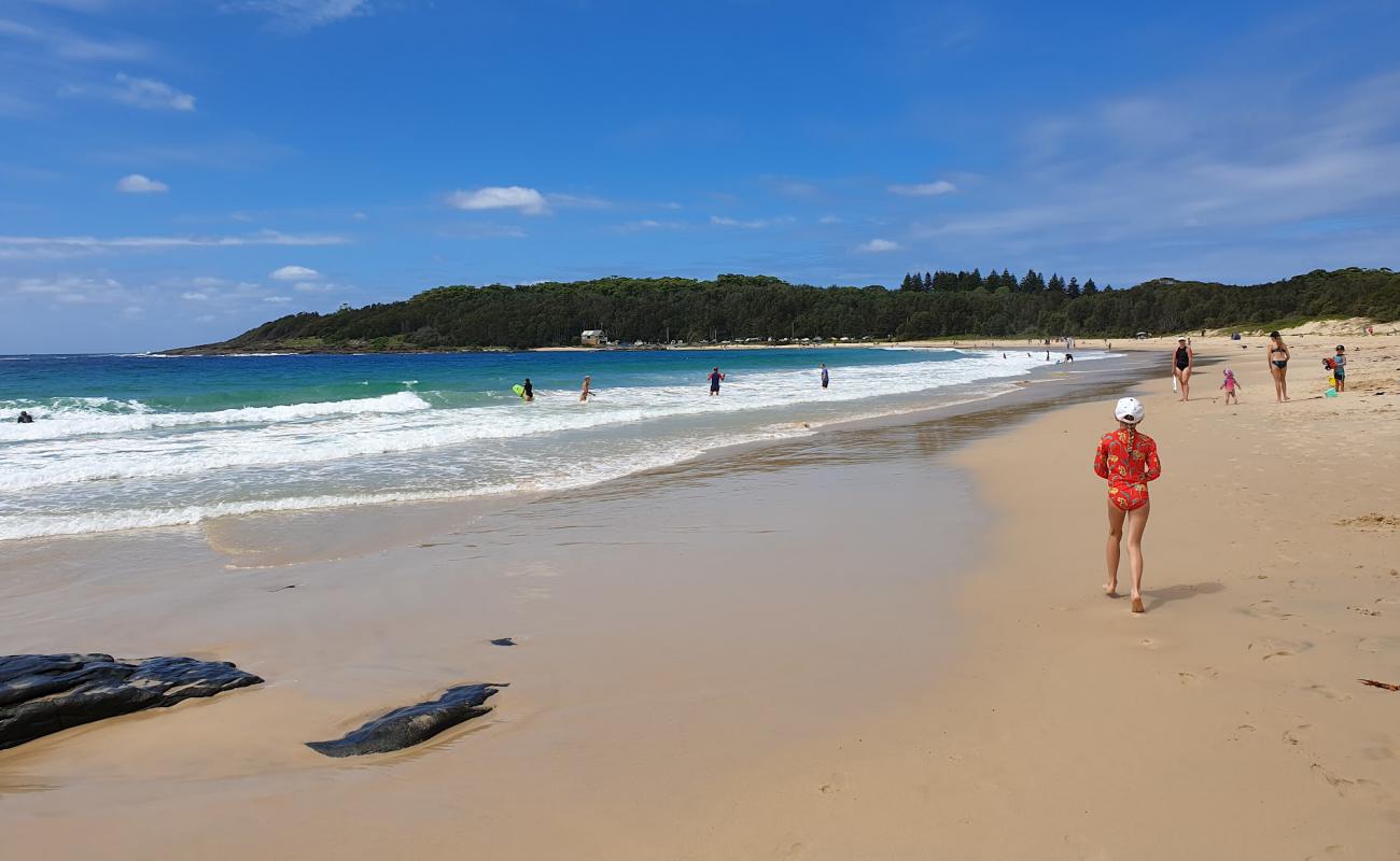 Photo of Kioloa Beach with bright sand surface