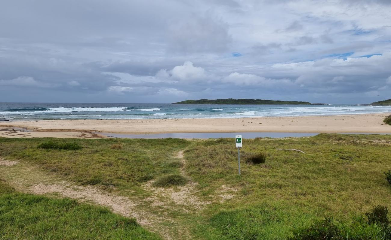 Photo of Murramarang Beach with bright sand surface