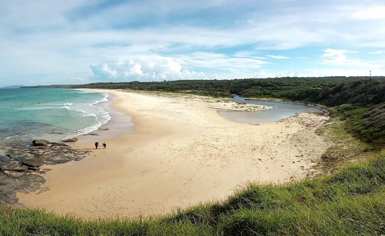 Photo of Racecourse Beach with bright fine sand surface