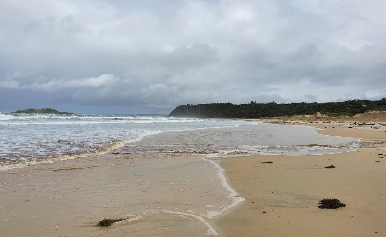 Photo of Manyana Beach with bright sand surface