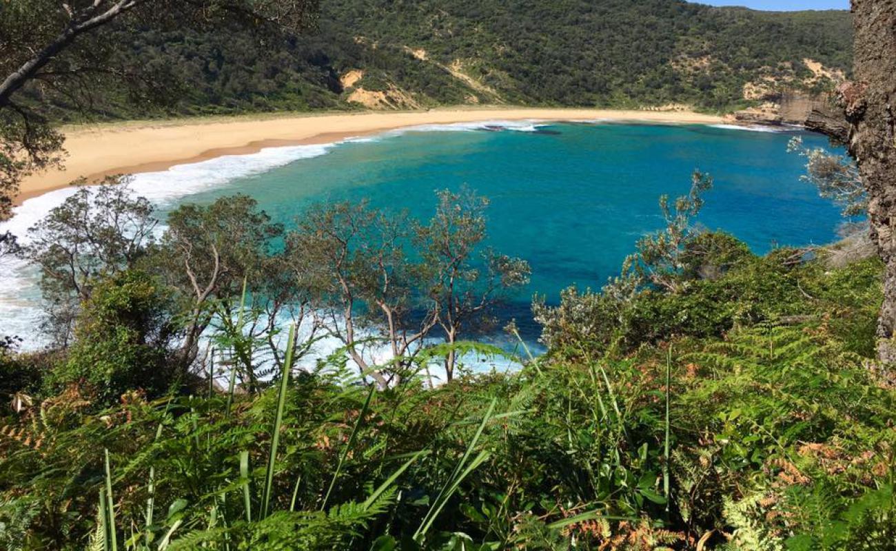 Photo of Steamers Beach with bright sand surface