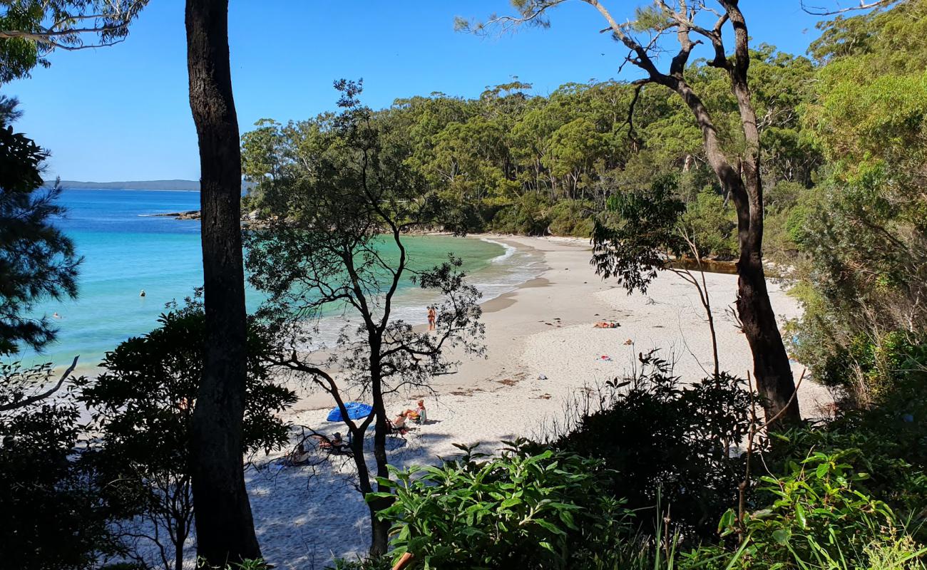 Photo of Blenheim Beach with white fine sand surface