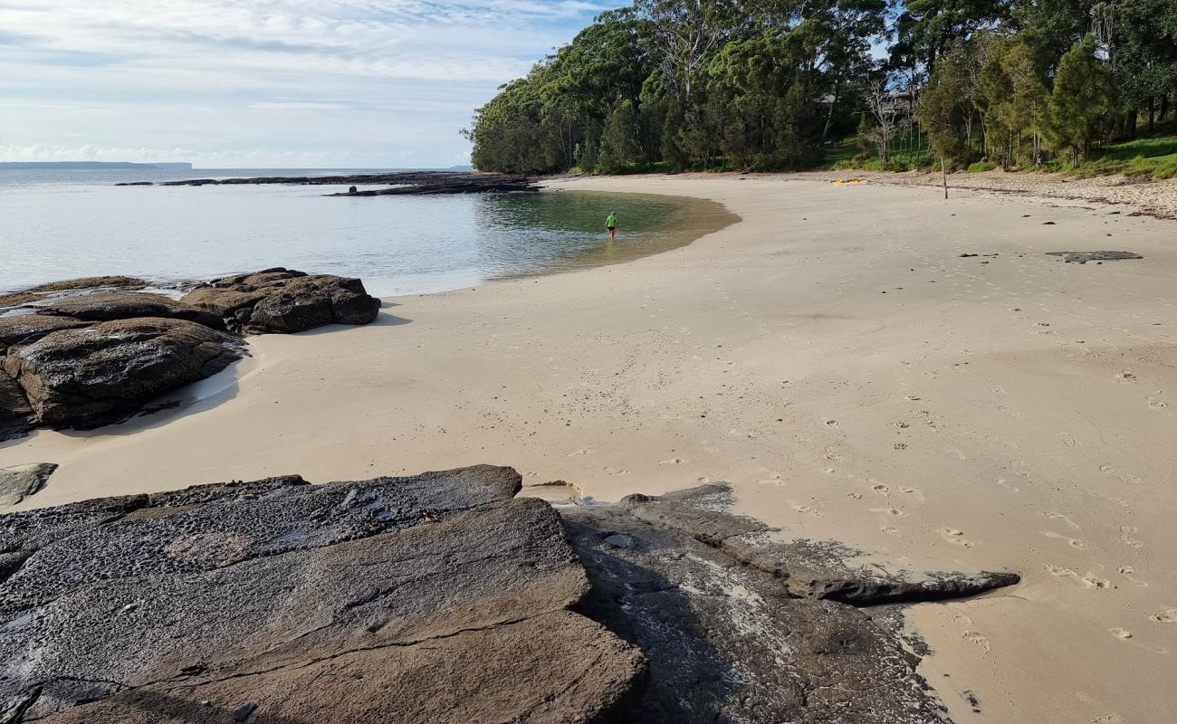 Photo of Shark Net Beach with bright sand surface