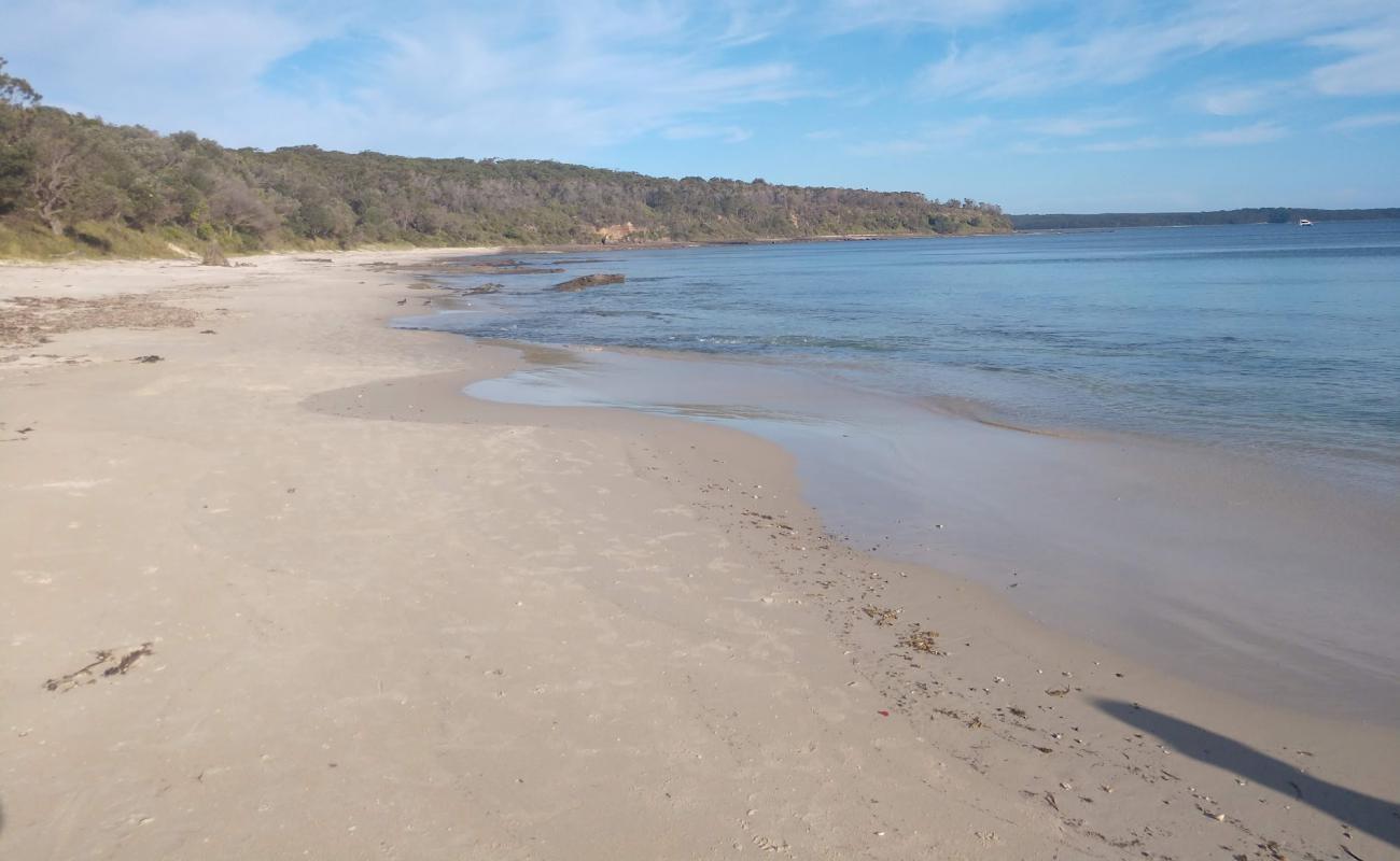 Photo of Cabbage Tree Beach with bright sand surface