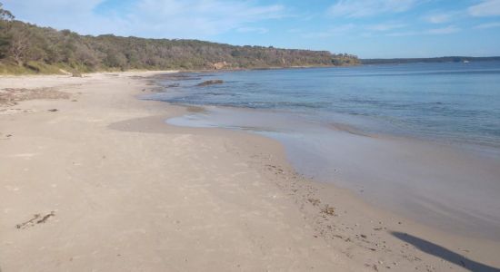 Cabbage Tree Beach