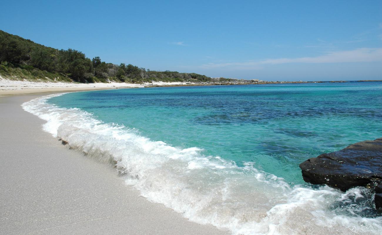 Photo of Silica Cove Beach with bright sand surface