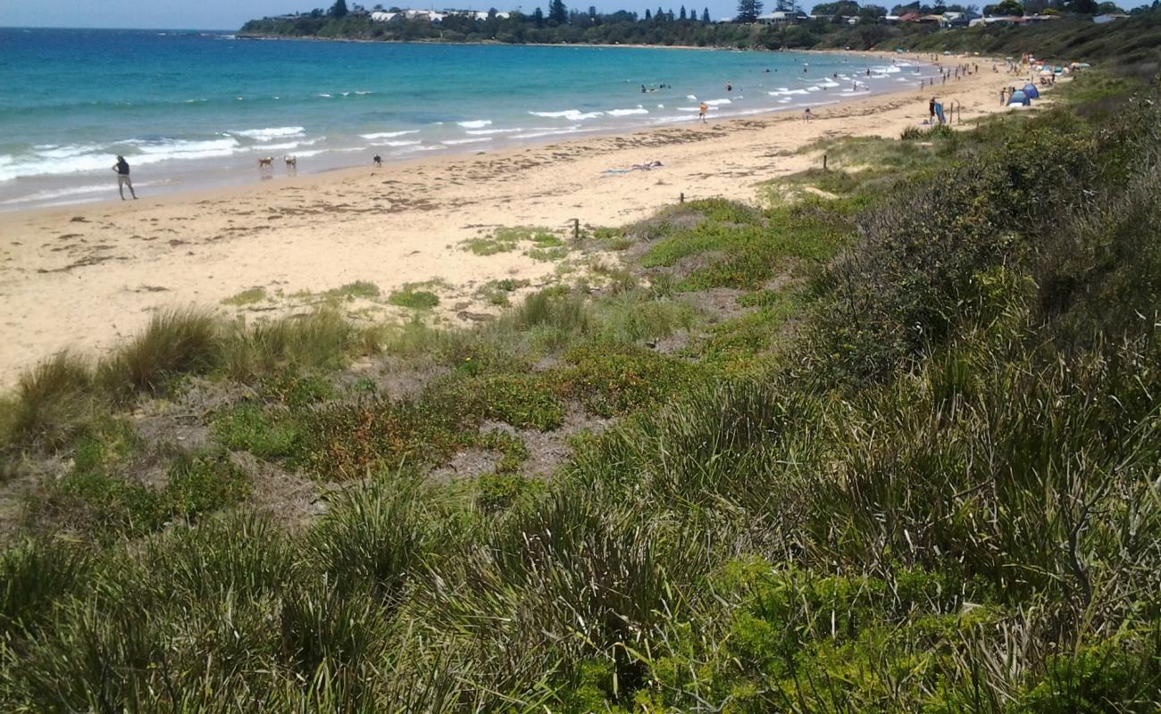 Photo of Culburra Beach with bright fine sand surface