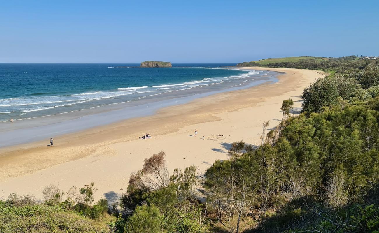 Photo of Minnamurra Beach with bright fine sand surface