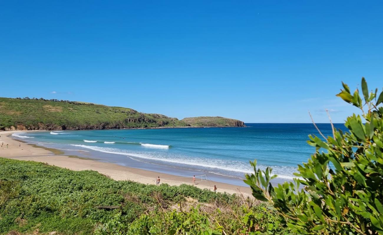 Photo of Killalea Beach with bright fine sand surface