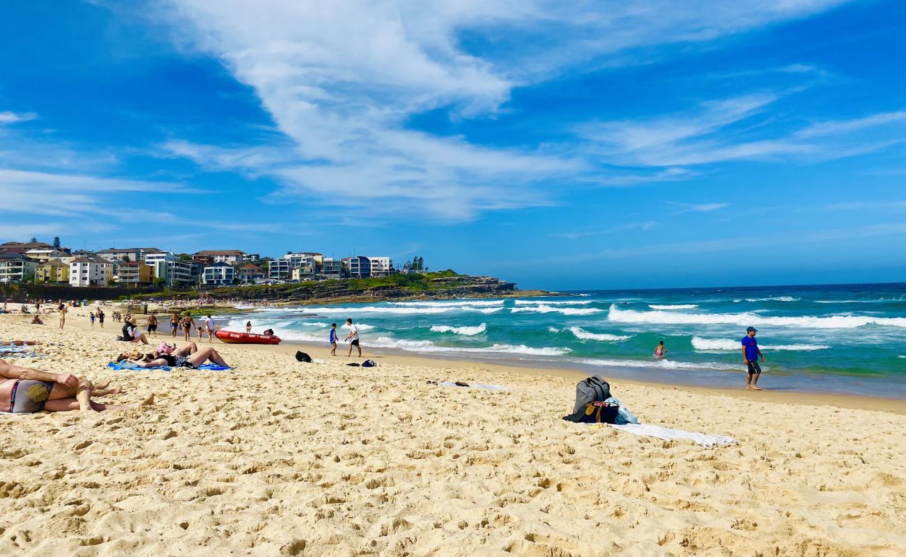 Photo of Maroubra Beach with bright sand surface