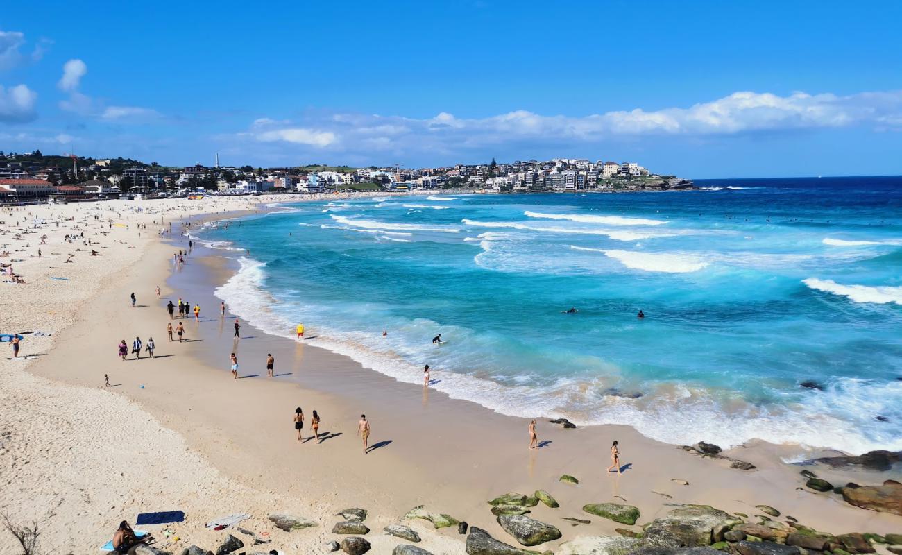 Photo of Bondi Beach with bright fine sand surface