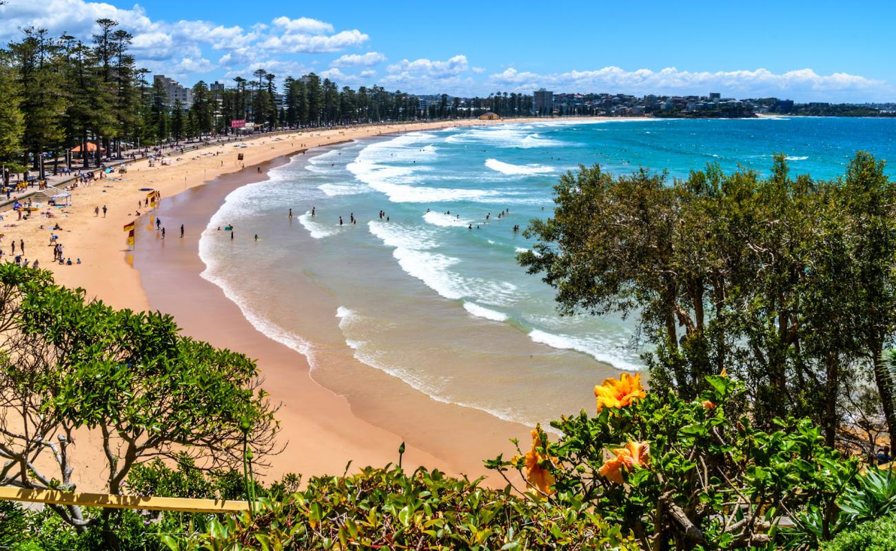 Photo of Manly Beach with bright fine sand surface