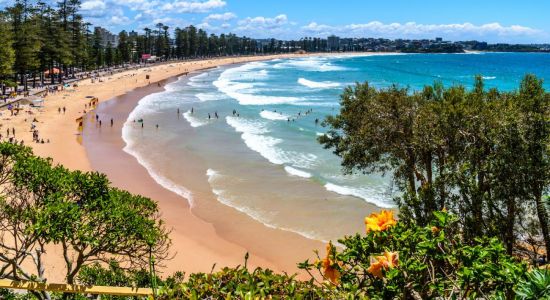 Manly Beach