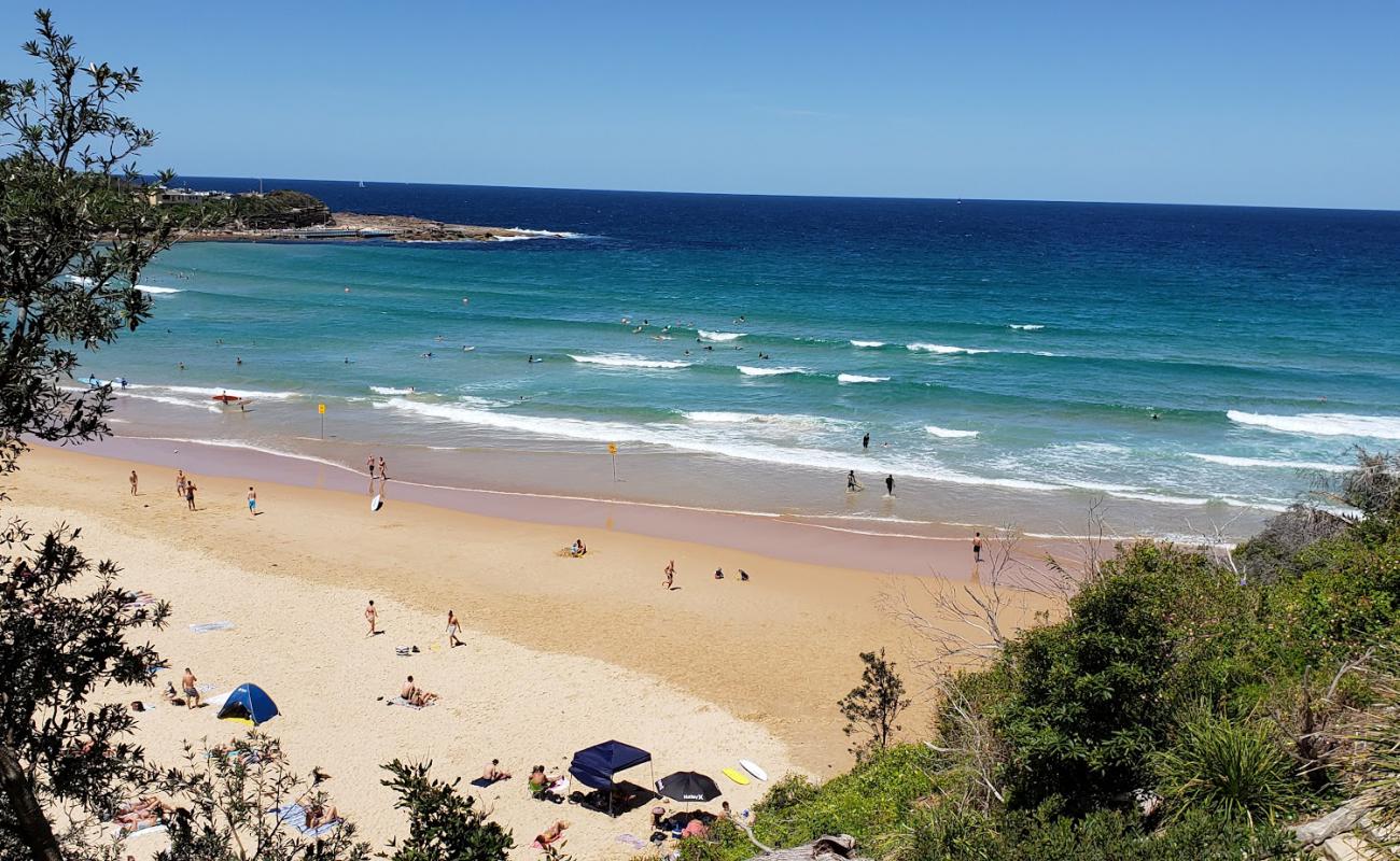 Photo of Freshwater Beach with bright fine sand surface