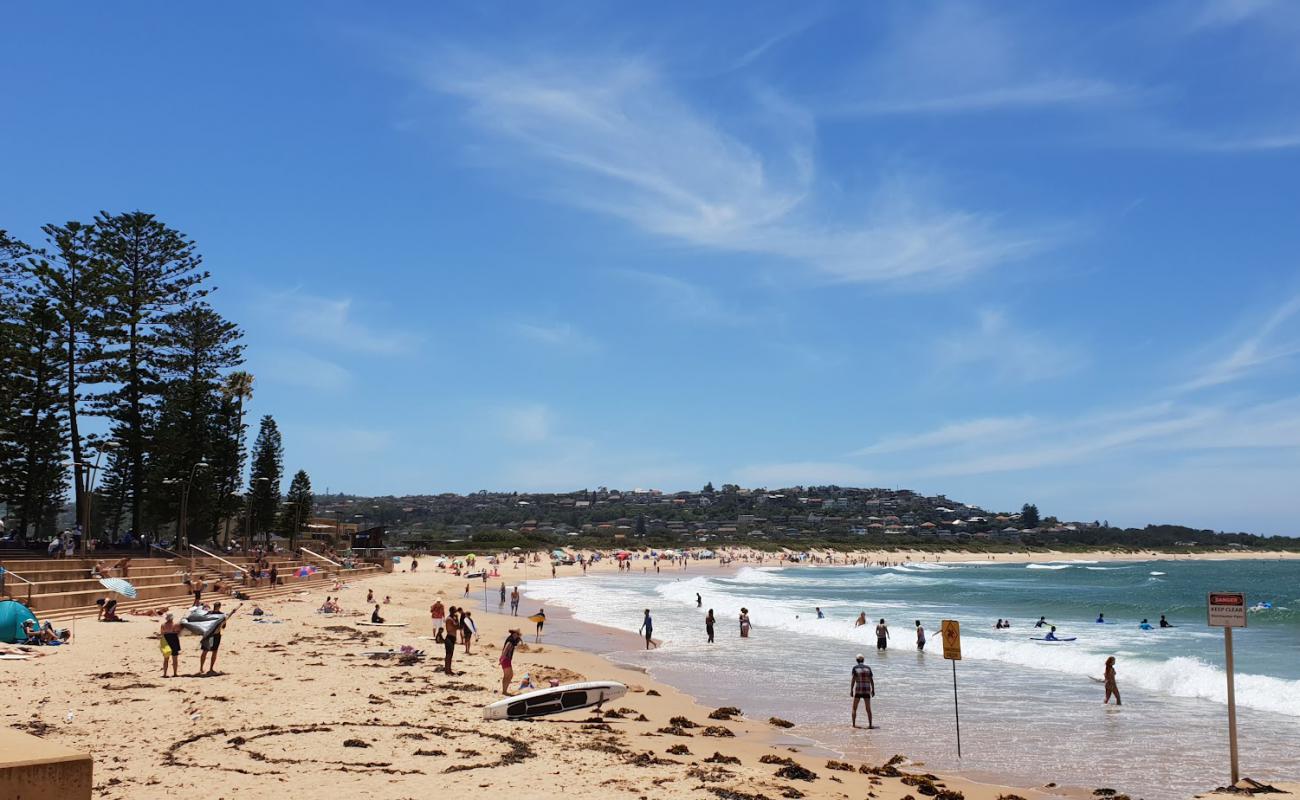 Photo of Dee Why Beach with bright fine sand surface