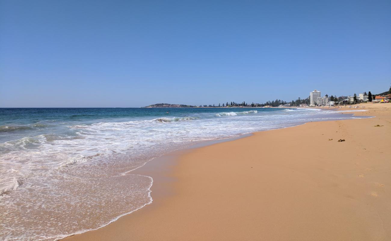 Photo of Narrabeen Beach with bright sand surface