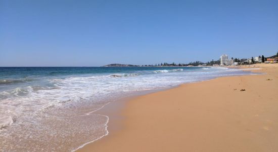 Narrabeen Beach