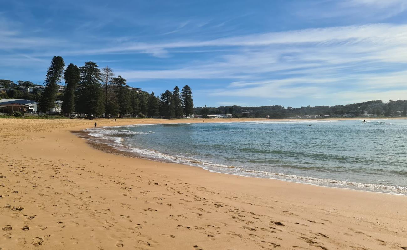 Photo of North Avoca Beach with bright fine sand surface