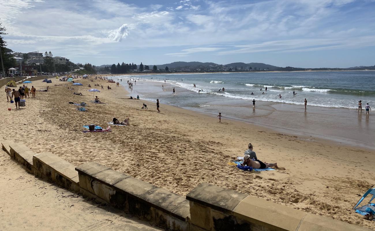 Photo of Terrigal Beach with bright sand surface