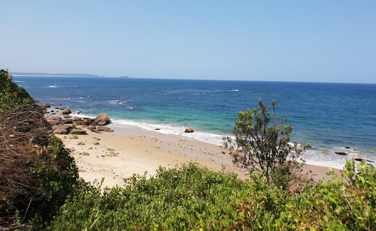 Photo of Jenny Dixon Beach with bright sand surface