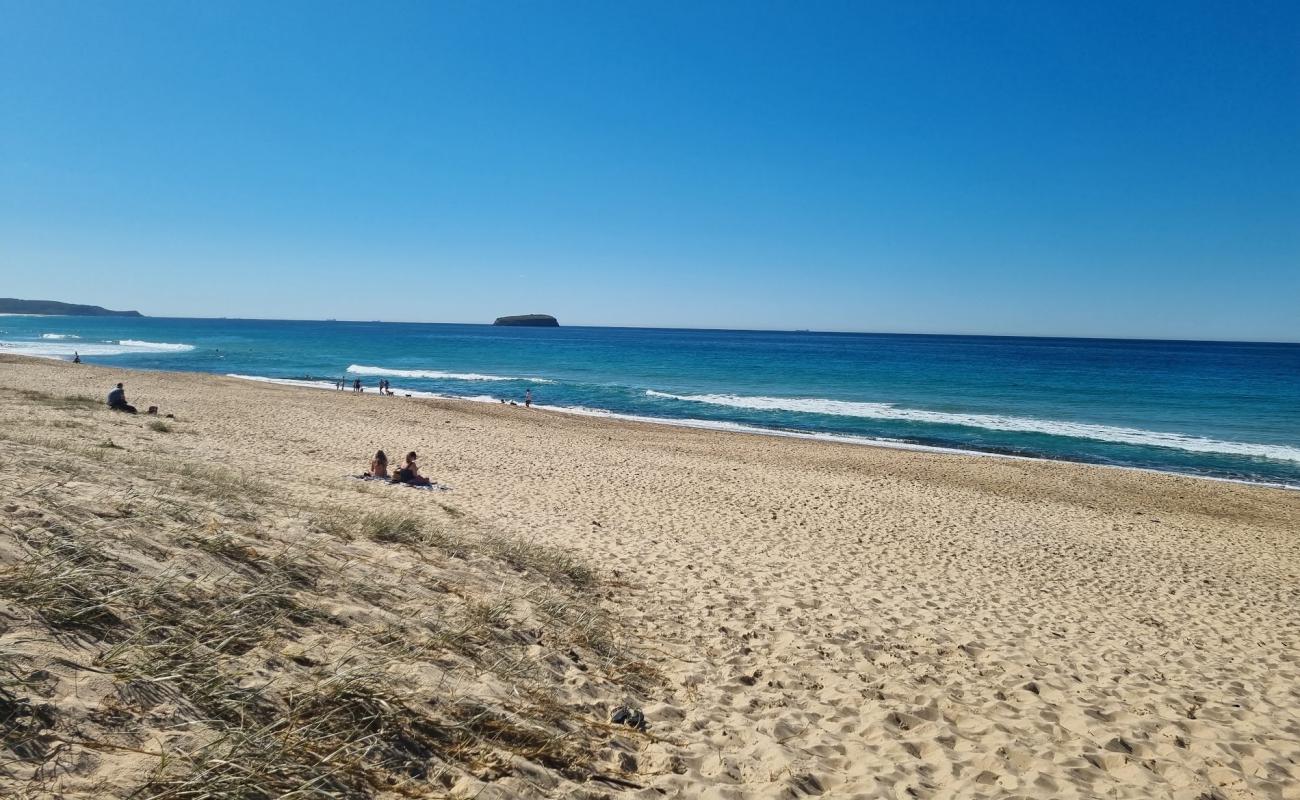 Photo of Budgewoi Beach with bright fine sand surface