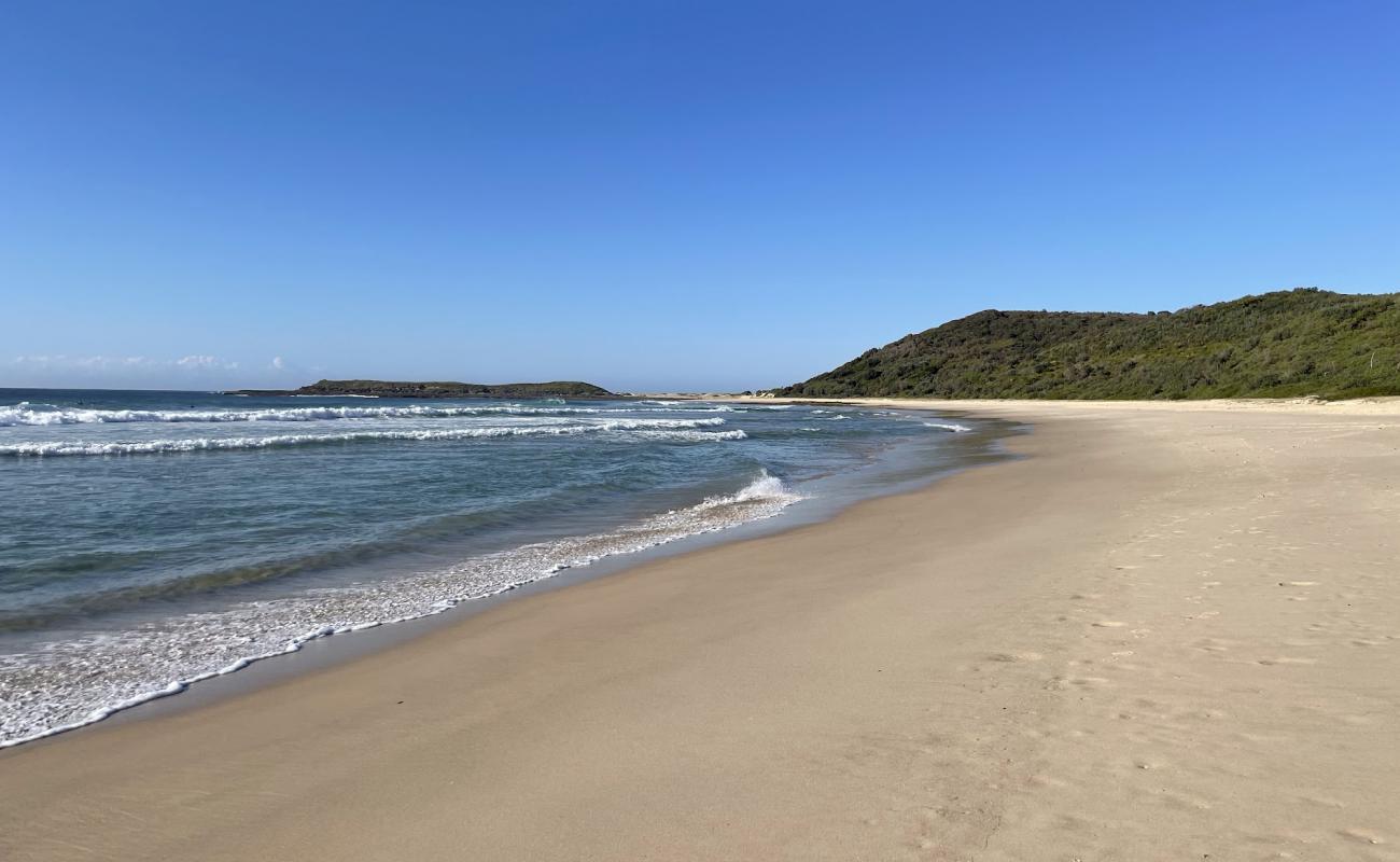 Photo of Moonee Beach with bright fine sand surface