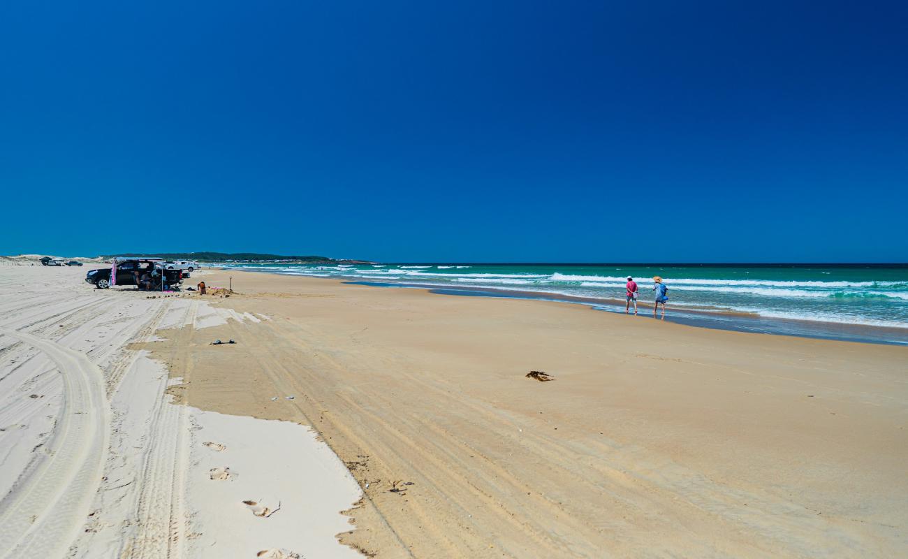 Photo of Stockton Beach with bright fine sand surface