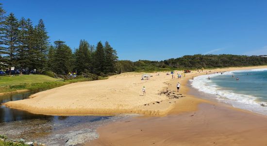 Black Head Beach