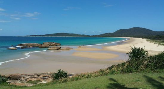 Trial Bay Front Beach