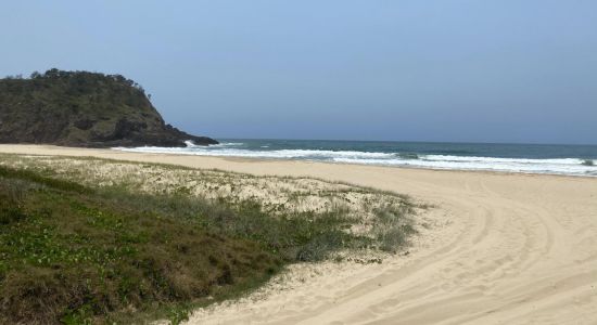 Off Leash Dog Beach