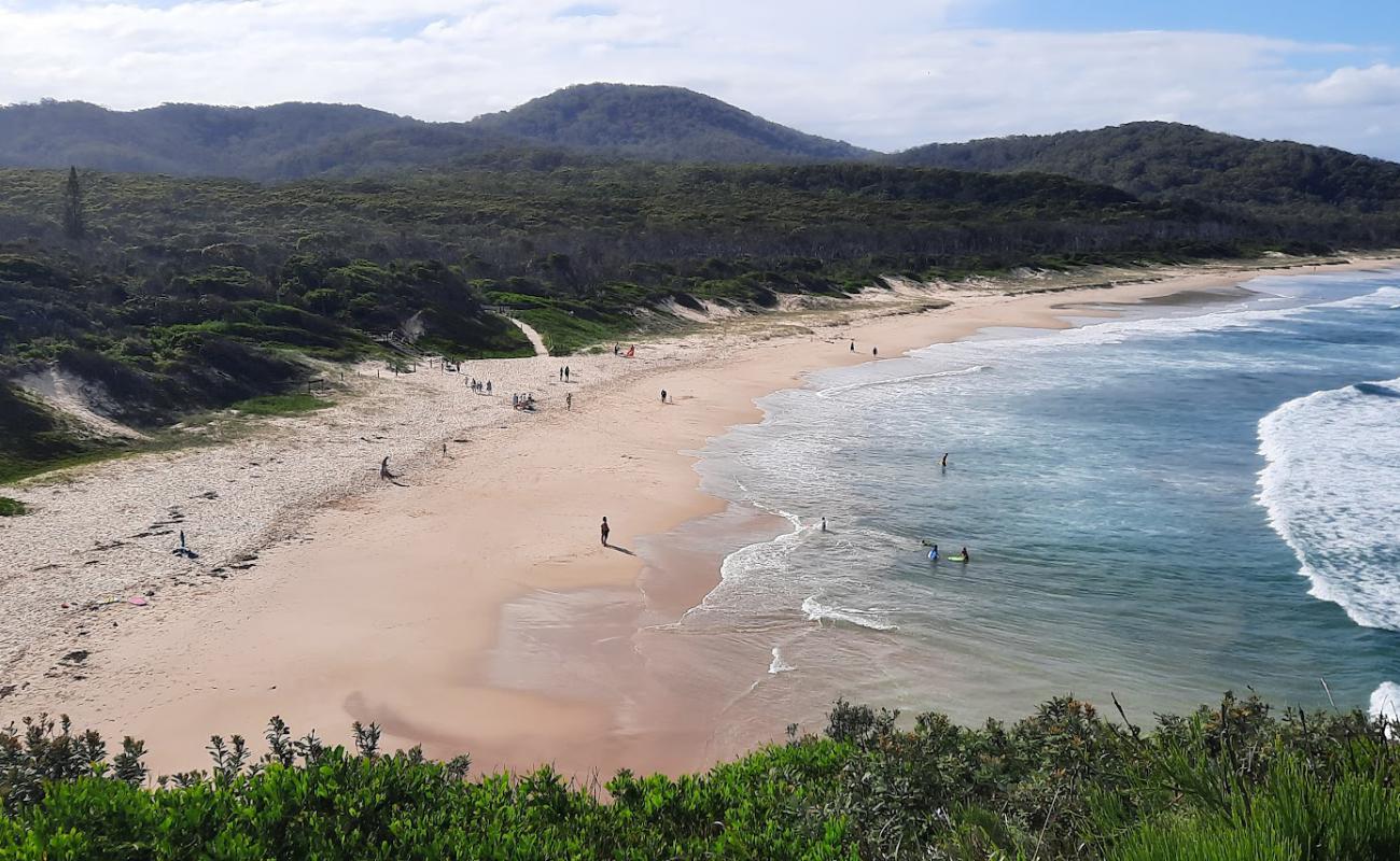 Photo of Grassy Beach with bright fine sand surface