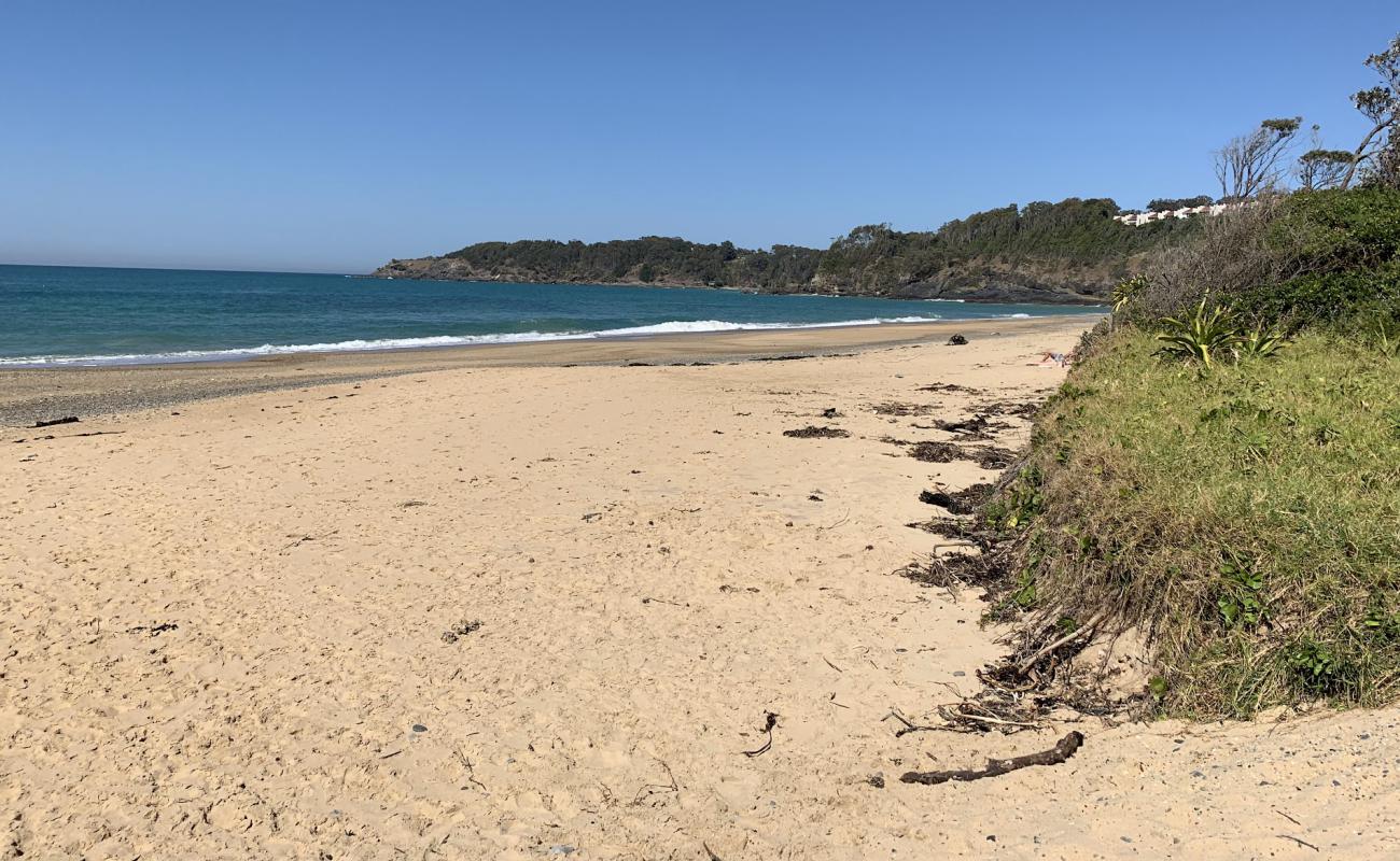 Photo of Korora Beach with bright sand surface