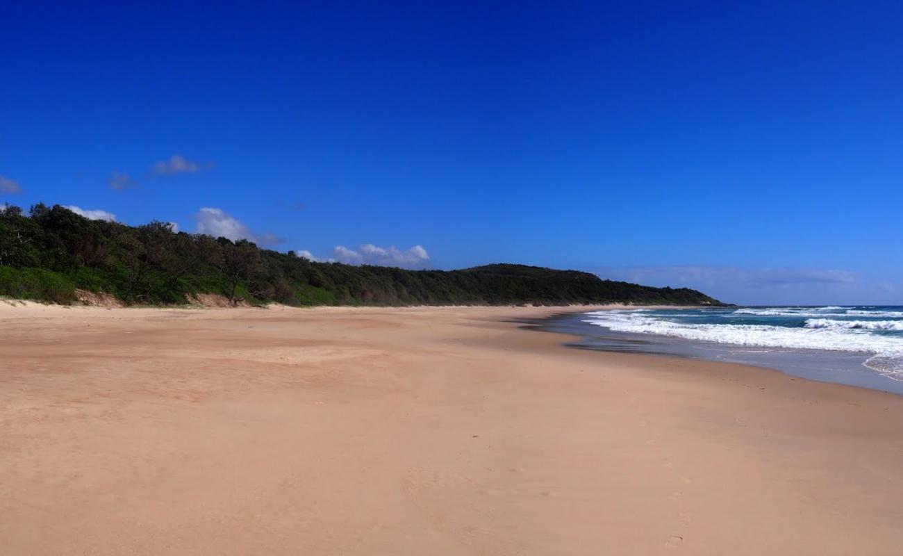 Photo of Little Shelley Beach with bright sand surface