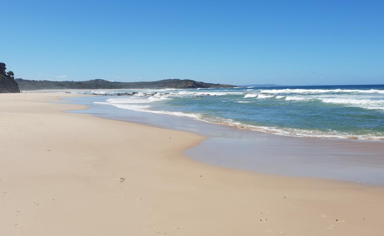 Photo of New Zealand Beach with bright sand surface