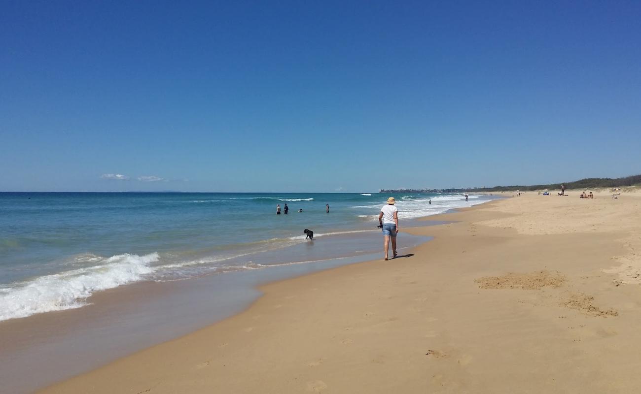 Photo of Dog & Cat Beach with bright sand surface