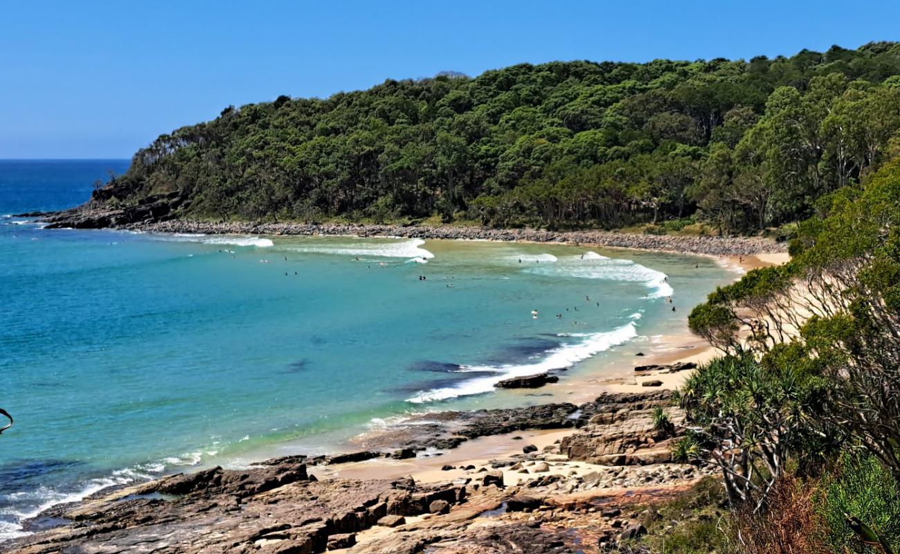 Photo of Tea Tree Bay Beach with bright sand surface