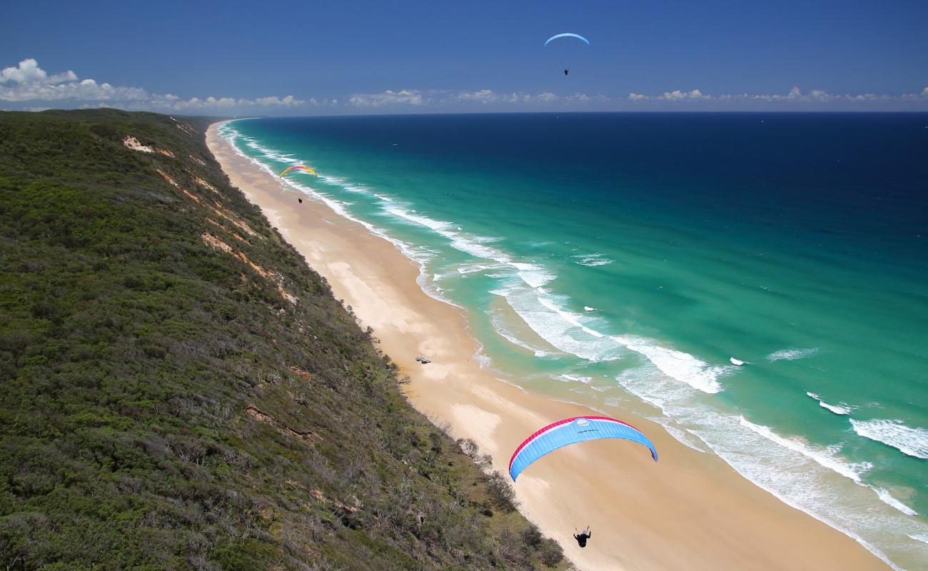 Photo of Teewah Beach with bright fine sand surface