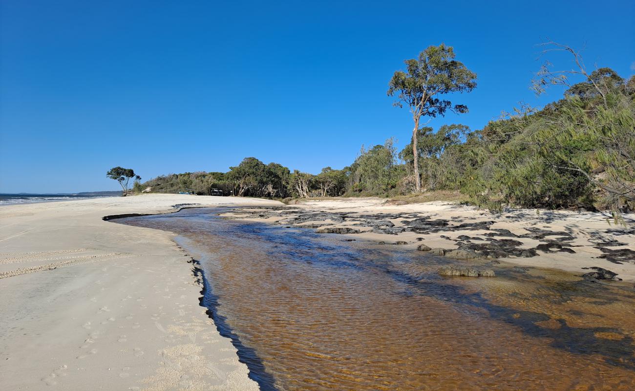 Photo of Bowarrady Creek Beach with bright sand surface