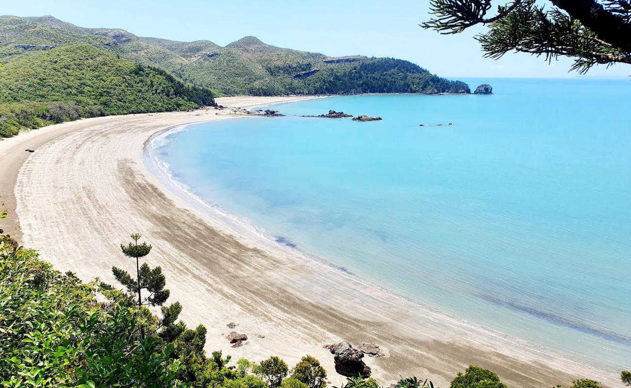 Photo of Cape Hillsborough Beach with bright sand surface