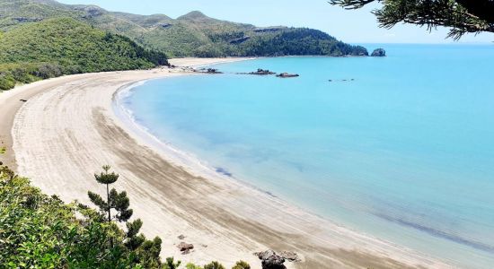 Cape Hillsborough Beach